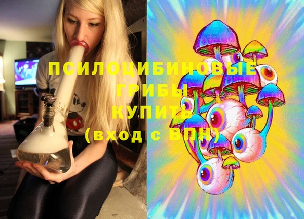 прущие грибы Баксан