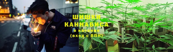 ПСИЛОЦИБИНОВЫЕ ГРИБЫ Балахна