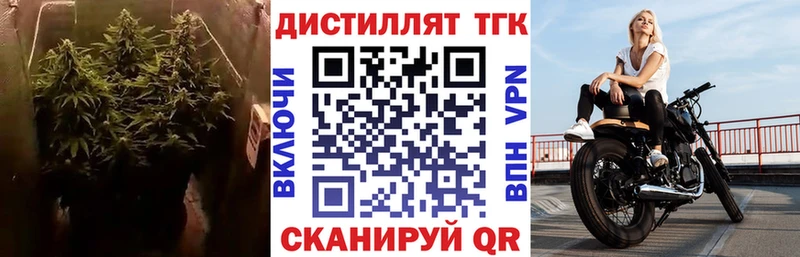 Дистиллят ТГК вейп с тгк  продажа наркотиков  Черноголовка 