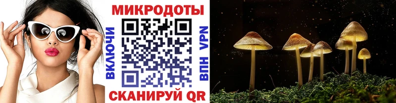 где найти   Черноголовка  Псилоцибиновые грибы прущие грибы 